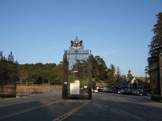 Forest-Lawn.jpg